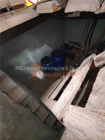 EXCLUSIVITATE! Casa + teren zona Beilic, com. Sageata - 10