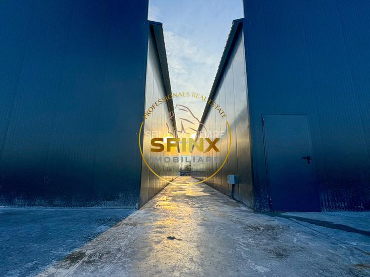 Hala industriala 2025 Bragadiru acces A0 Centura - 12