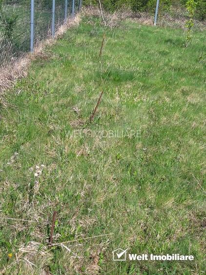 Teren extravilan 2000 mp, împrejmuit, panoramă superbă – Sălicea (Cluj) - 8