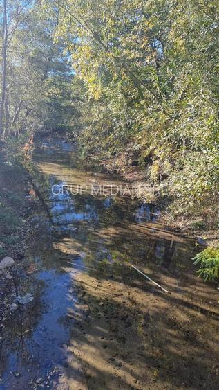 Teren intravilan 1781 mp în Băile Olănești – zonă turistică - 5