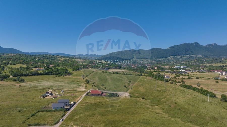 Teren Tohanu Nou, intrare Sohodol, 4800mp - 9