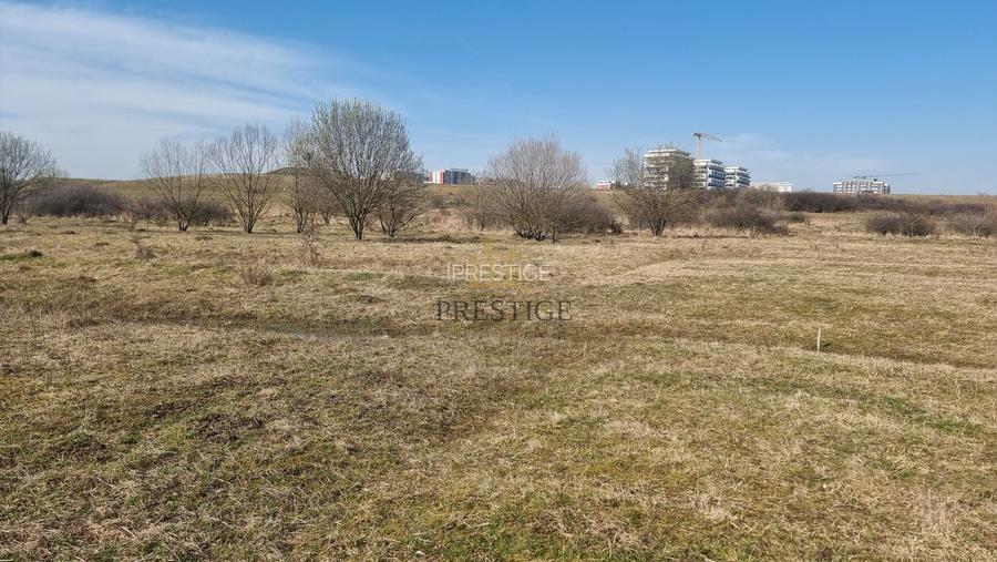 FĂRĂ COMISION | TEREN 1000 MP ȘELIMBĂR ZONA TROIȚĂ | INVESTIȚIE - 14