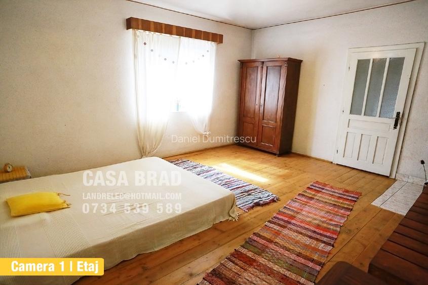 Casa mare cu ~4000mp teren plat, in zona verde, linistita, in orasul Brad, HD - 11