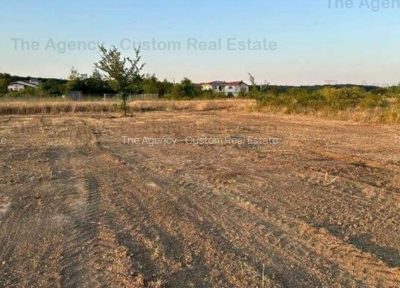 Teren 1200 mp (30x40) - Cartier Romatsa - 3