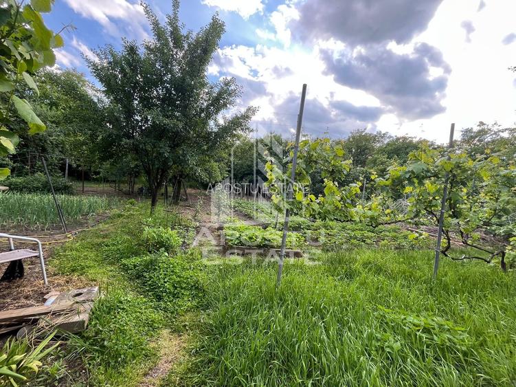 Casa individuala,3 camere, 2 bai, acces auto, garaj,teren 3182 mp - 11