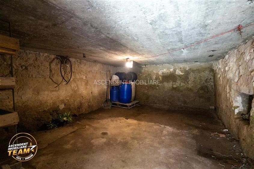 FILM! Domeniu peste 5.000mp+ 2case traditionale, Bixad, Covasna - 55