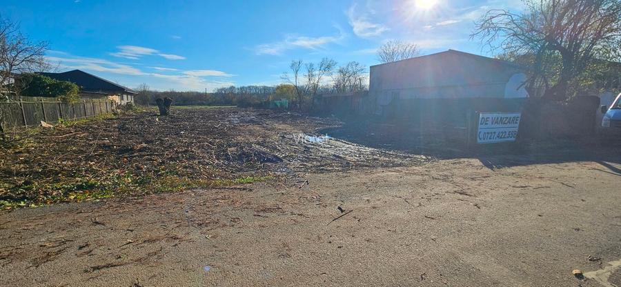 Teren de vanzare Snagov - 4