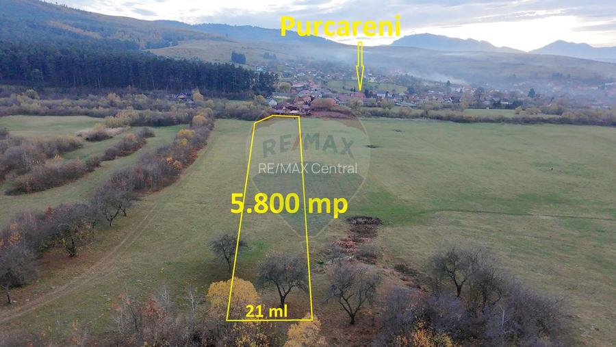 Teren 5.800 mp Purcareni curent, gaz, apă / Strada 30 decembrie - 2