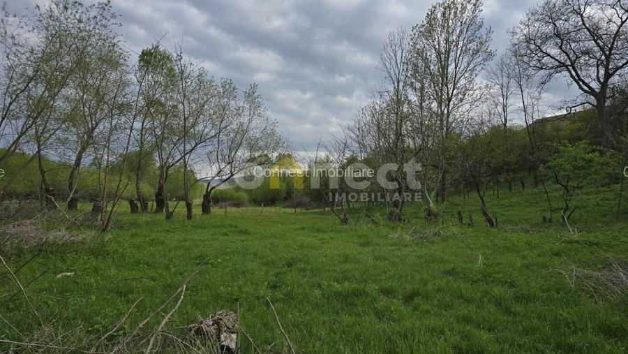 De vânzare teren superb în Ciurila ~ 5000 mp de liniște, verdeață și potențial - 5