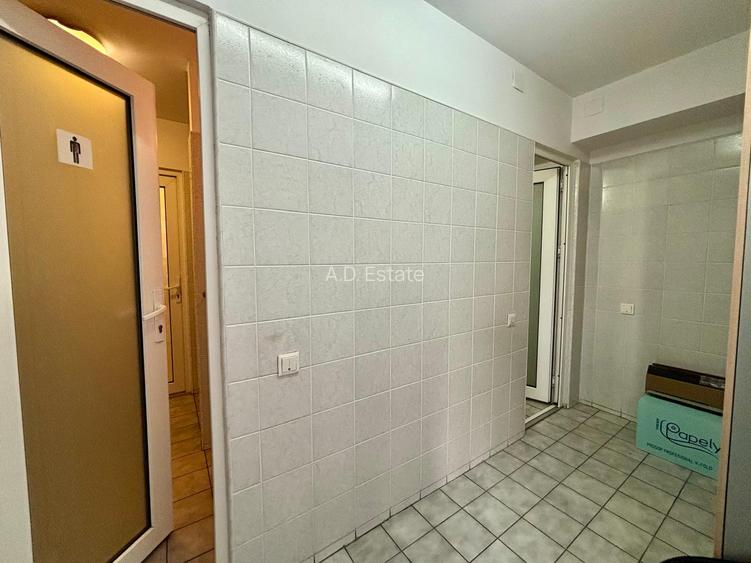 Vila De Inchiriat 11 camere  D+P+2 Timpuri Noi 12 Locuri Parcare 500 mp - 20