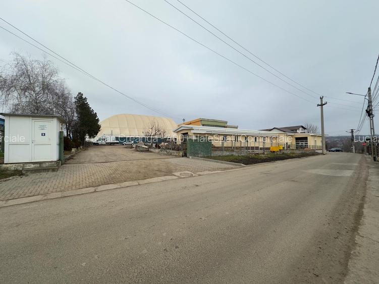 Hala 640mp, in fata la Antibiotice - 5