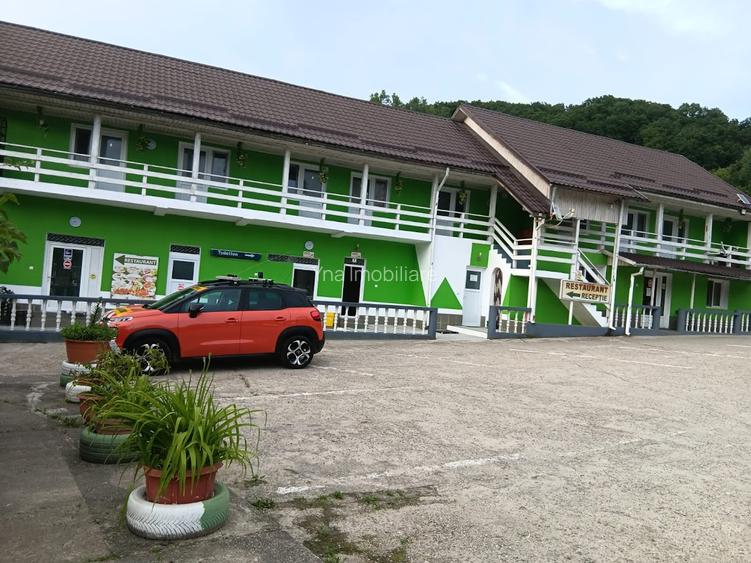 Vand pensiune si hotel la DN7/E81 Pitesti- Rm Valcea, teren 4 ha, 25euro/mp - 7