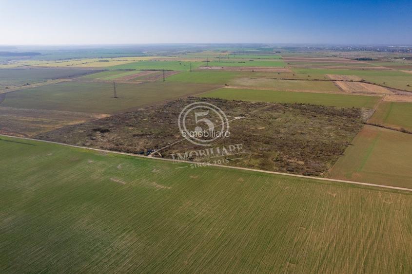 Ocazie- Teren Intravilan de Vanzare- Peris Snagov- Doar 10 euro/mp - 9