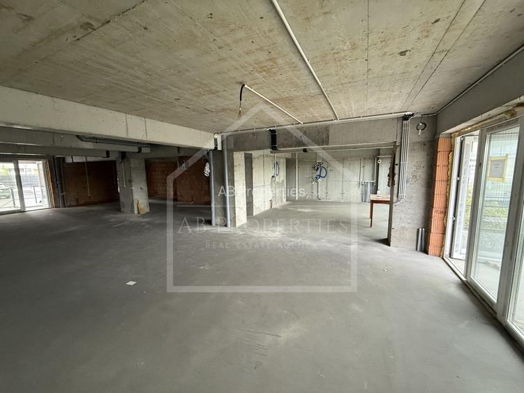 Spatiu Comecial 155 MP UTILI - 8