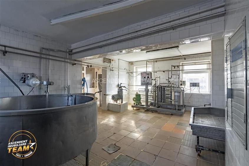 Fabrica de produse lactate+ birouri + 1.300mp teren, Ilieni, Covasna - 3