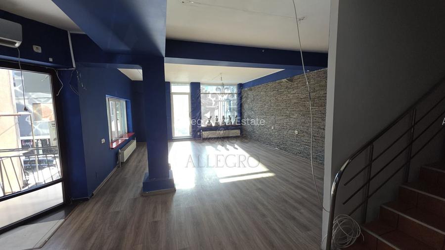 Vila Individuala | Putul Lui Zamfir - Dorobanti | 2002 | 238 mp utili - 8