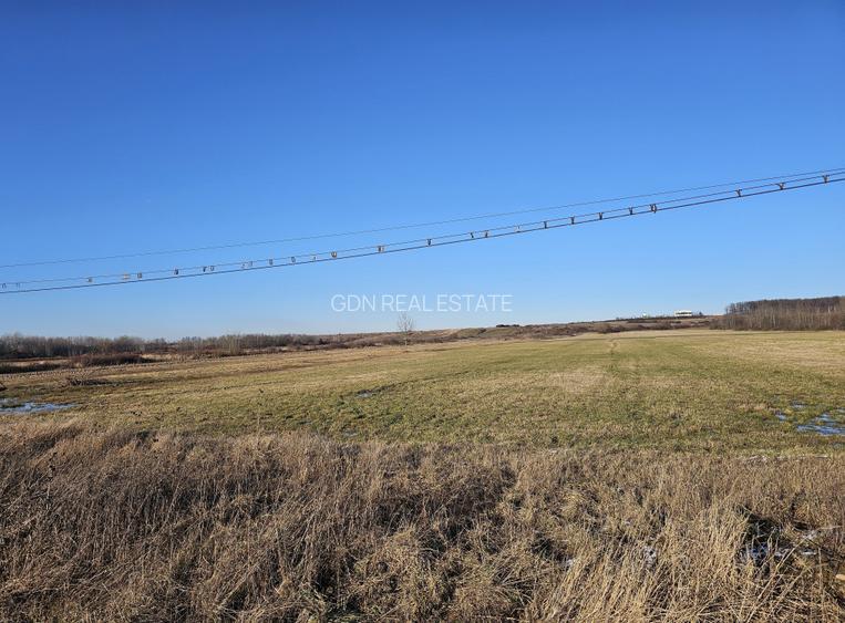 Teren extravilan - constructii, suprafata 49.933 mp, drumul E79, Beius - 7