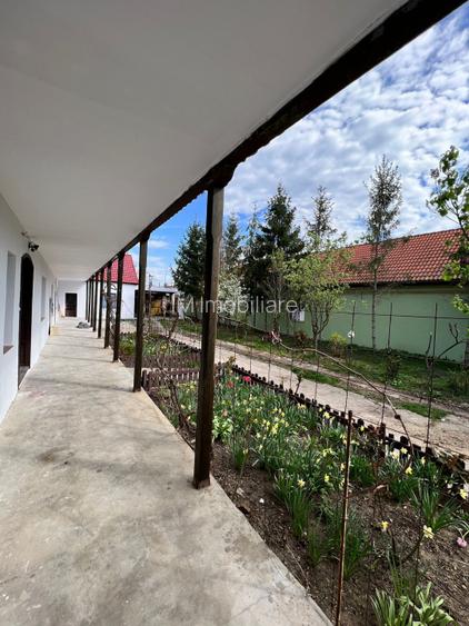 Comision 0 - Centru - Sanandrei - Casa renovata + teren 1850 mp - 8