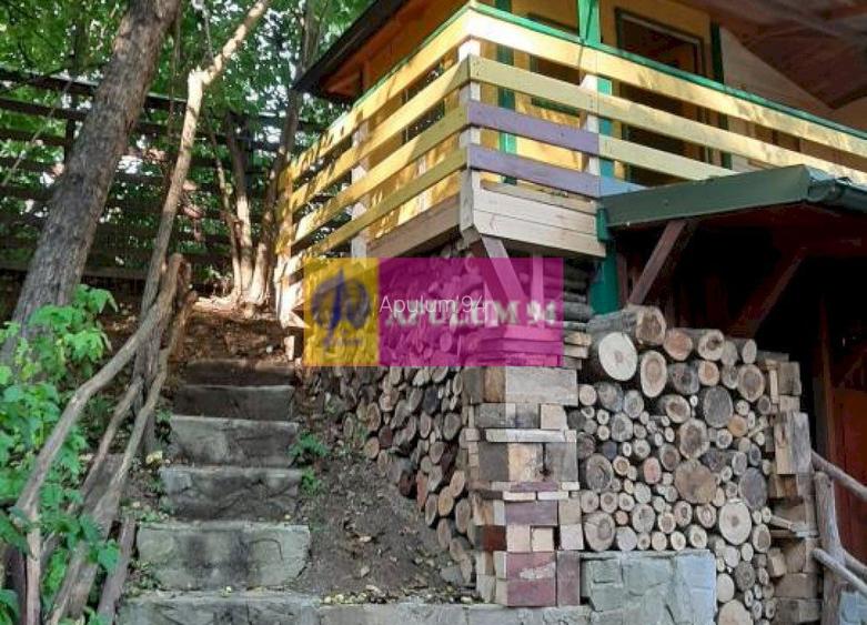 Casă de vânzare în Provița de Jos - 46