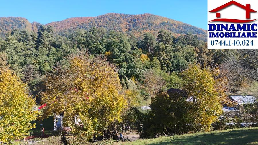 3600 mp teren intravilan, sat Bistrita, 12 Euro/mp - 5