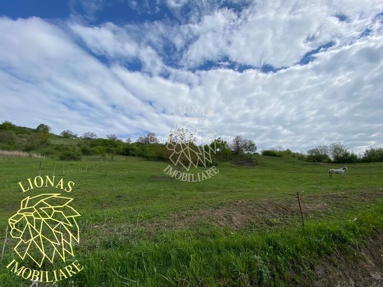 Teren Extravilan - Ghinda - 3.5000mp-Parcelabil - 7