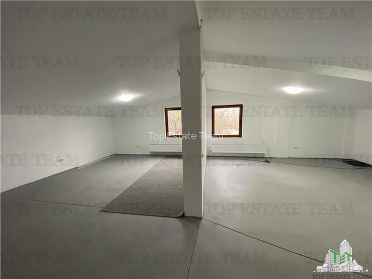Spatiu 180 mp inchiriere pt. depozitare, birouri, zona Doamna Ghica - 11