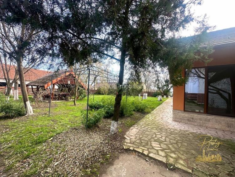 Domeniu - Centru de colectare, 7 ha de vanzare in Valea lui Mihai - 50