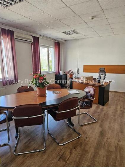 Exclusivitate - Proprietate Industriala De Vanzare - Productie - Depozitare - 29