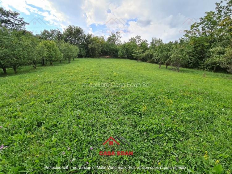 ●Teren intravilan in Poiana Campina,zona retrasa,3287 mp,10e● - 3