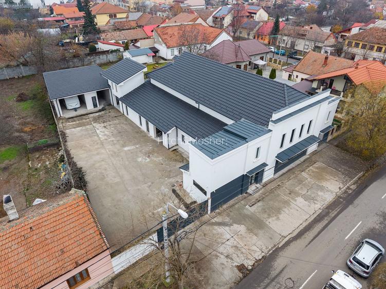 Închiriez cinematograf în Timișoara – proiecții, lansări, conferințe - 2