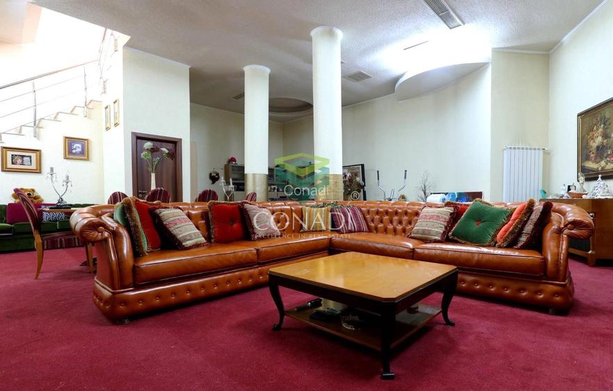 Iancu Nicolae, vila cu 5 camere de inchiriat, 291 mp utili - 10