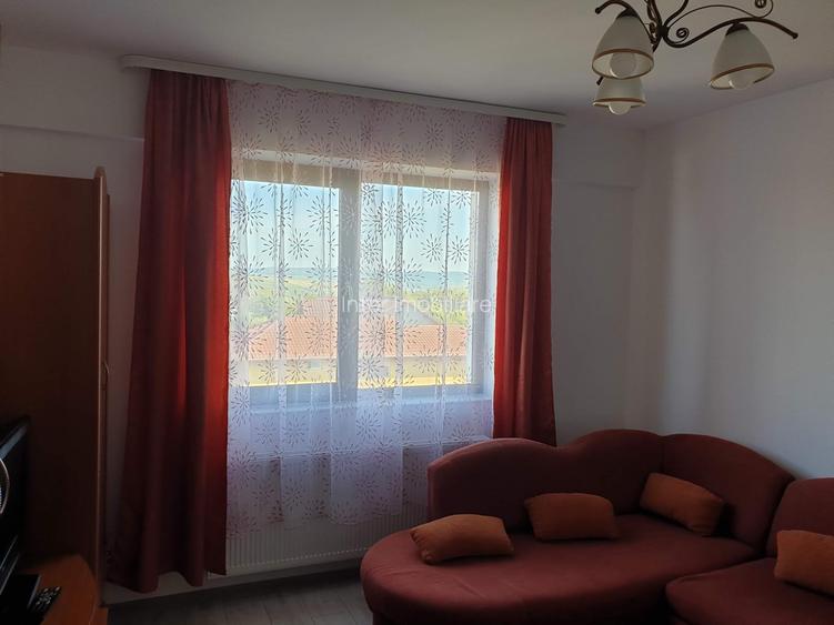 Apartament cu 1 camera decomandat Valea Adanca Cod oferta 162338 - 10