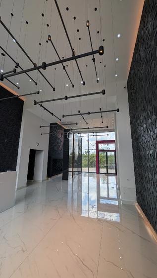 Apartament cu doua camere de inchiriat Cloud9 - 16