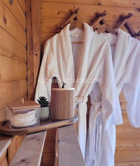 Resedinte montane,mobilate,echipate, jacuzzi,piscina,pretios areal,Sambata de Su - 9