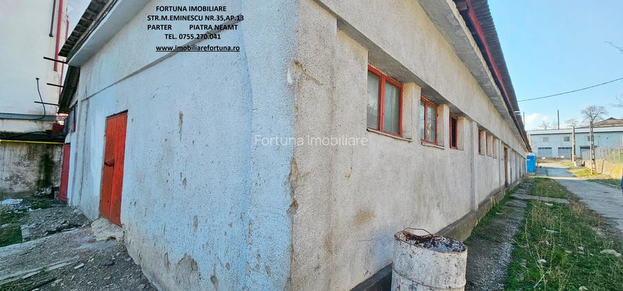 Hala si teren , Piatra Neamt - 2