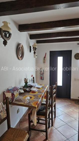 Vila Busteni vedere exceptionala! - 12