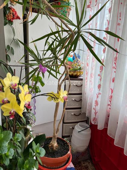 Apartament 2 camere decomandat, etaj 4 — Cartier Vest, zona Siliștei - 5