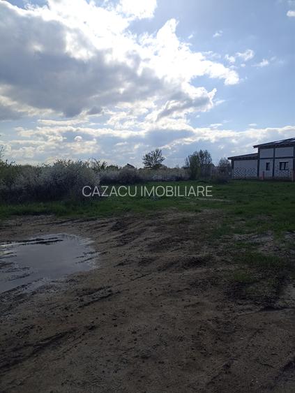 Parcela teren  pentru casa  Iin Timisoara- Ciarda Rosie - 3