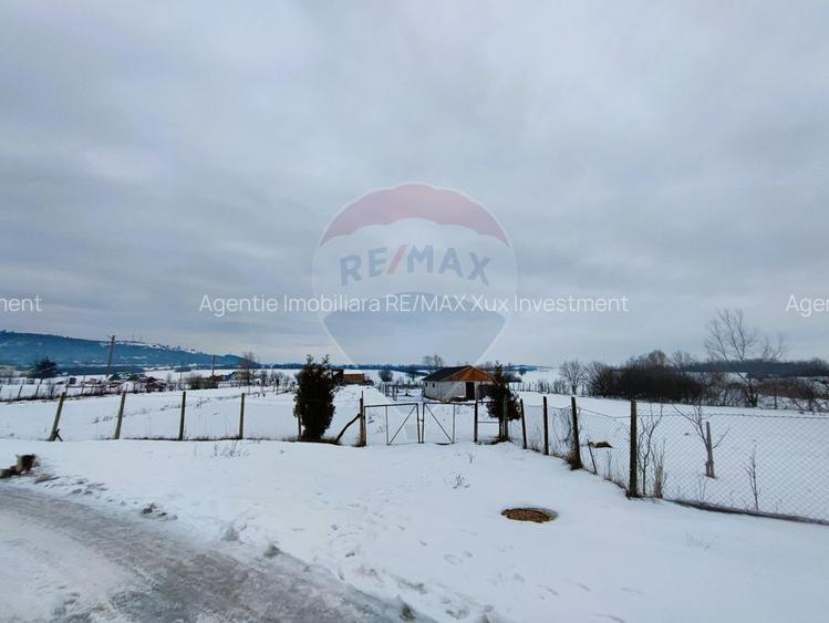 Teren intravilan 9.574 mp în Săliște, poziție strategică, ideal invest - 4