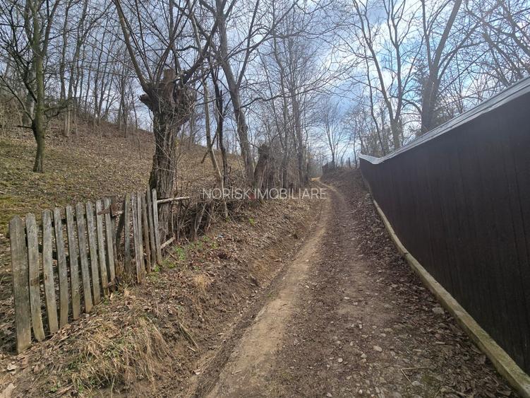 Oportunitate investitie teren  – Cerașu, Prahova | 3.485 mp | View spectaculos - 5