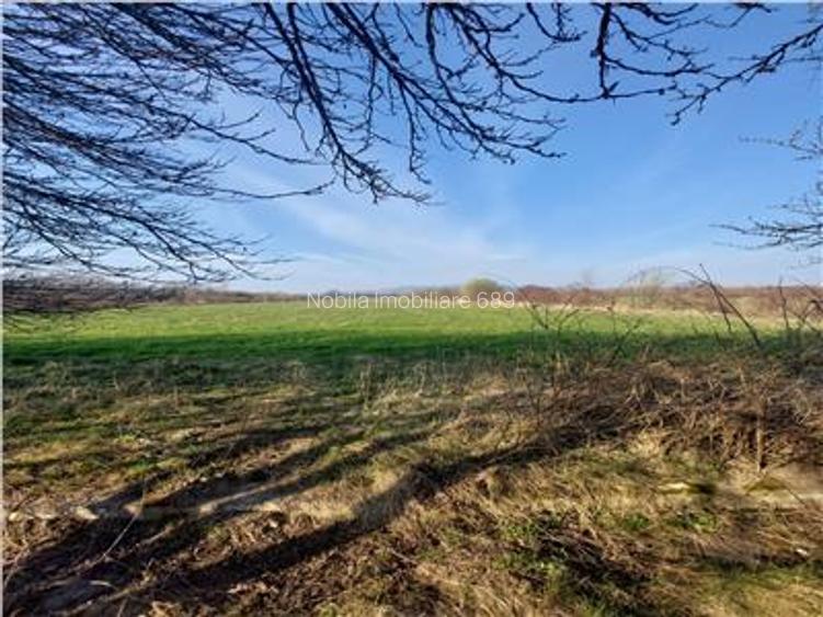 Onești | Teren 33 ha cu utilități • Se vinde integral sau în - 2