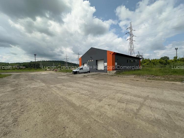 Hala, rampa, platforma, de la 117mp la 234mp, zona Piatra Chis - 7