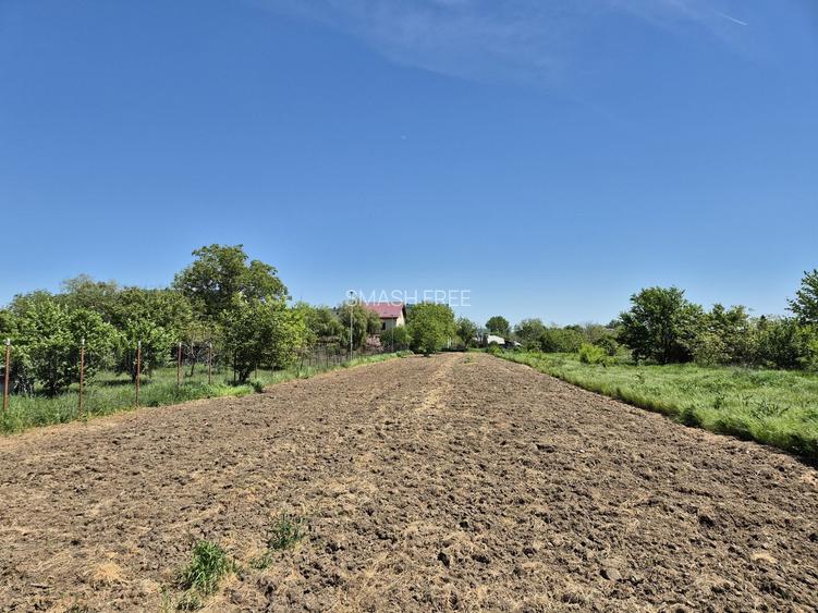 Teren intravilan 2658 mp cu bransament electric trifazic  - 1 Decembrie, Ilfov - 5