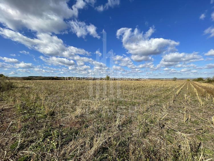 De vânzare teren intravilan – Cristian, Sibiu - 7