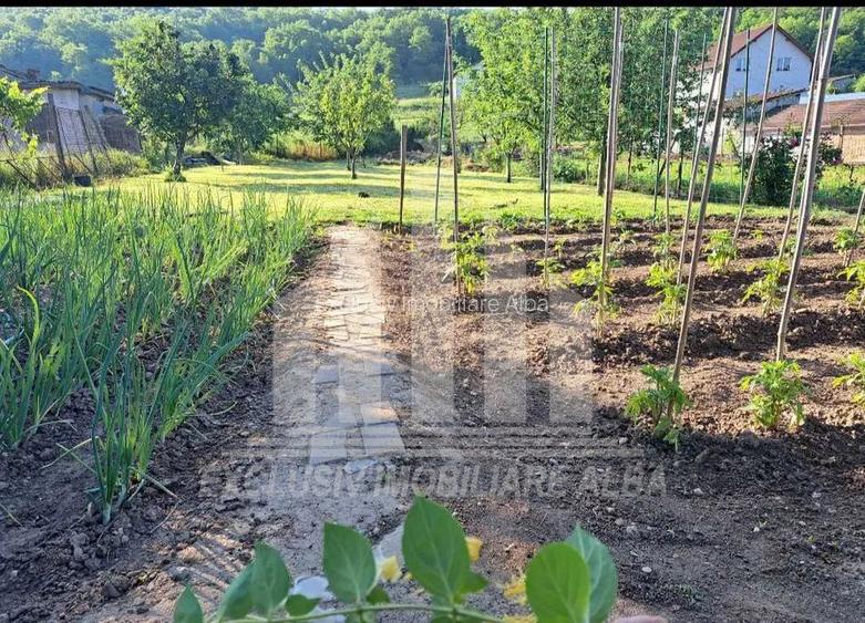 Teren intravilan | De vanzare | 600 mp | 13.6 ml deschidere | Ciugud - 3