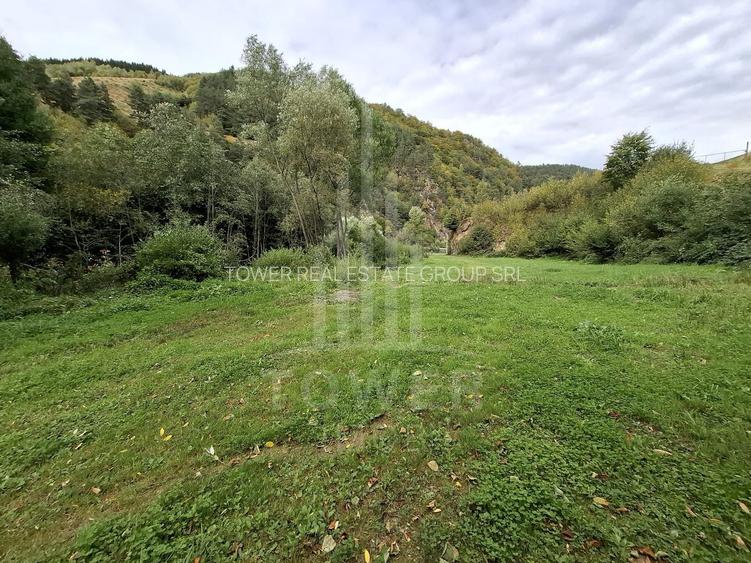 Teren Intravilan de Vânzare – 3622 mp – Râu Sadului - 8