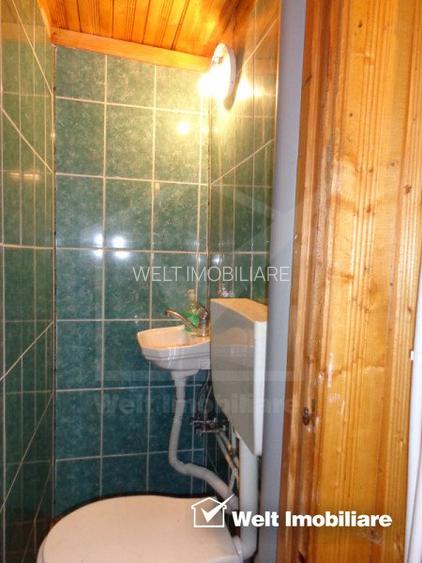 1.6 ha de padure cu poienita, parau la limita curtii, cabana pentru trei familii - 15