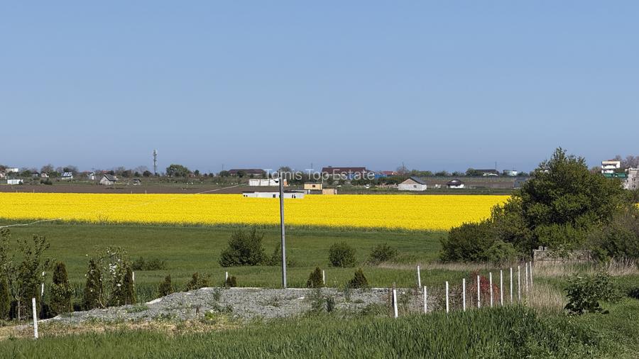Teren intravilan CARTIER NOVA in Costinesti la 2 Km de plaja - 7