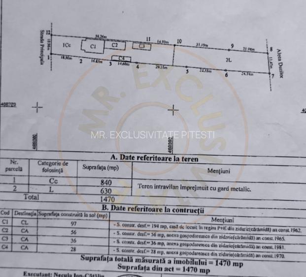 Casă cu farmec Neoromânesc – Pietroșani, Argeș - 7