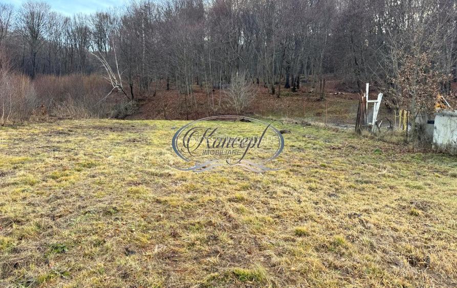 Teren cu potential pe Valea Caprioarei - 8